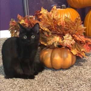 Meet your Posher, Mandy